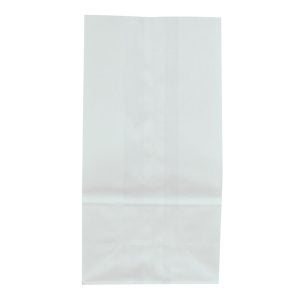 White 8# Paper Bags | Raw Item