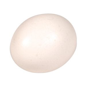 Fresh Large Eggs | Raw Item