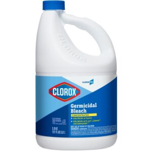 Clorox Bleach | Packaged