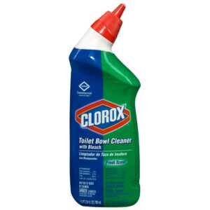Toilet Bowl Cleaner with Bleach | Packaged