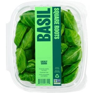 Fresh Basil | Packaged