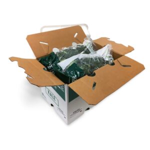 Kale | Packaged