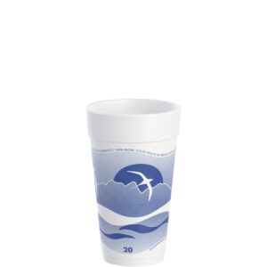 Foam Cups, 20 oz. Horizon Blue | Raw Item