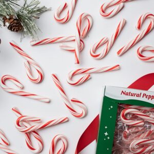 Mini Peppermint Candy Canes | Styled